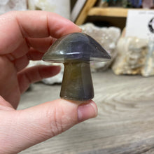 将图像加载到图库查看器中,Fluorite Mushroom #05
