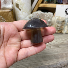 将图像加载到图库查看器中,Fluorite Mushroom #05