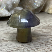 将图像加载到图库查看器中,Fluorite Mushroom #05