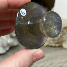 将图像加载到图库查看器中,Fluorite Mushroom #05