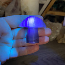 将图像加载到图库查看器中,Fluorite Mushroom #05