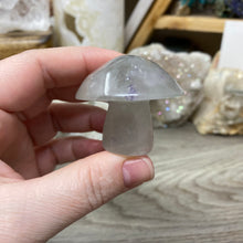将图像加载到图库查看器中,Fluorite Mushroom #06