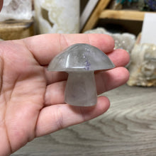 将图像加载到图库查看器中,Fluorite Mushroom #06