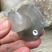 将图像加载到图库查看器中,Fluorite Mushroom #06