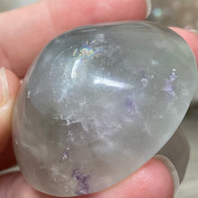 将图像加载到图库查看器中,Fluorite Mushroom #06