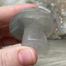 将图像加载到图库查看器中,Fluorite Mushroom #06