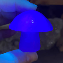 将图像加载到图库查看器中,Fluorite Mushroom #06
