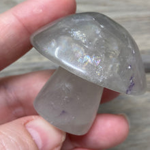 将图像加载到图库查看器中,Fluorite Mushroom #06