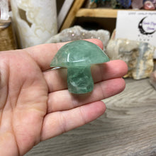 将图像加载到图库查看器中,Fluorite Mushroom #08