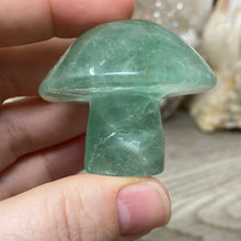 将图像加载到图库查看器中,Fluorite Mushroom #08