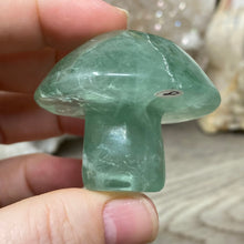 将图像加载到图库查看器中,Fluorite Mushroom #08