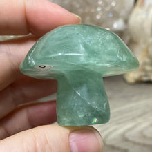 将图像加载到图库查看器中,Fluorite Mushroom #08