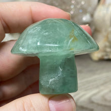 将图像加载到图库查看器中,Fluorite Mushroom #08