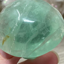 将图像加载到图库查看器中,Fluorite Mushroom #08