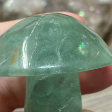 将图像加载到图库查看器中,Fluorite Mushroom #08