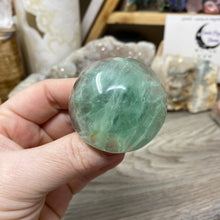 将图像加载到图库查看器中,Fluorite Mushroom #08
