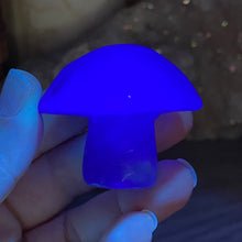 将图像加载到图库查看器中,Fluorite Mushroom #08