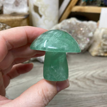 将图像加载到图库查看器中,Fluorite Mushroom #10