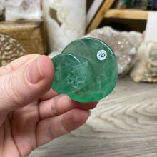 将图像加载到图库查看器中,Fluorite Mushroom #10