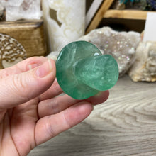 将图像加载到图库查看器中,Fluorite Mushroom #10