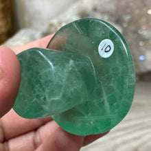 将图像加载到图库查看器中,Fluorite Mushroom #10