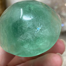 将图像加载到图库查看器中,Fluorite Mushroom #10