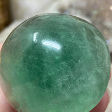 将图像加载到图库查看器中,Fluorite Mushroom #10