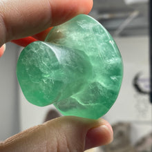 将图像加载到图库查看器中,Fluorite Mushroom #10