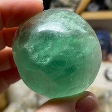 将图像加载到图库查看器中,Fluorite Mushroom #10