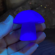 将图像加载到图库查看器中,Fluorite Mushroom #10