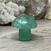 将图像加载到图库查看器中,Fluorite Mushroom #10