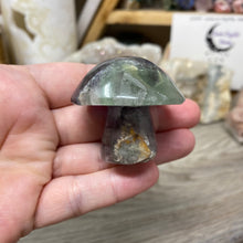 将图像加载到图库查看器中,Fluorite Mushroom #11