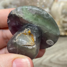 将图像加载到图库查看器中,Fluorite Mushroom #11