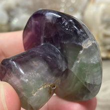 将图像加载到图库查看器中,Fluorite Mushroom #11