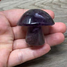 将图像加载到图库查看器中,Fluorite Mushroom #11