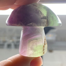 将图像加载到图库查看器中,Fluorite Mushroom #11