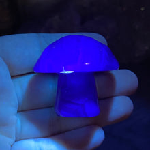 将图像加载到图库查看器中,Fluorite Mushroom #11