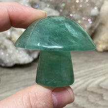 将图像加载到图库查看器中,Fluorite Mushroom #12
