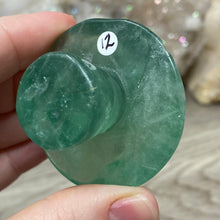 将图像加载到图库查看器中,Fluorite Mushroom #12