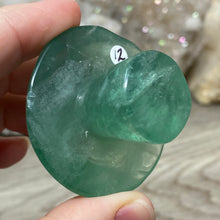 将图像加载到图库查看器中,Fluorite Mushroom #12