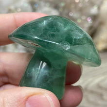 将图像加载到图库查看器中,Fluorite Mushroom #12