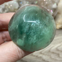 将图像加载到图库查看器中,Fluorite Mushroom #12