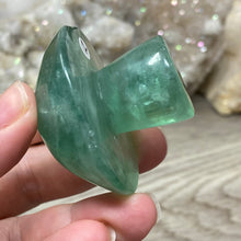 将图像加载到图库查看器中,Fluorite Mushroom #12