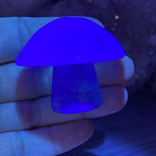 将图像加载到图库查看器中,Fluorite Mushroom #12