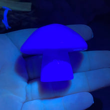 将图像加载到图库查看器中,Fluorite Mushroom #12