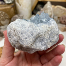 Bild in Galerie-Viewer laden, Celestite Rough Cluster #80