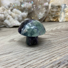 将图像加载到图库查看器中,Fluorite Mushroom #19
