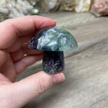 将图像加载到图库查看器中,Fluorite Mushroom #19