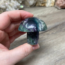 将图像加载到图库查看器中,Fluorite Mushroom #19