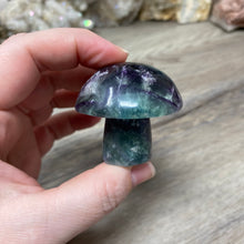 将图像加载到图库查看器中,Fluorite Mushroom #19